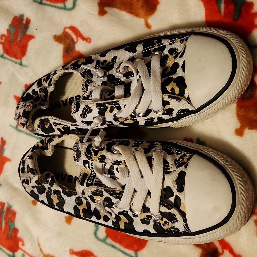 Converse Chuck Taylor shoreline sneakers